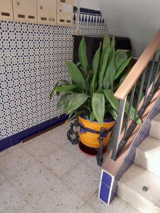 Disfruta De Un Barrio Tranquilo Appartement Alcalá de Guadaira Buitenkant foto
